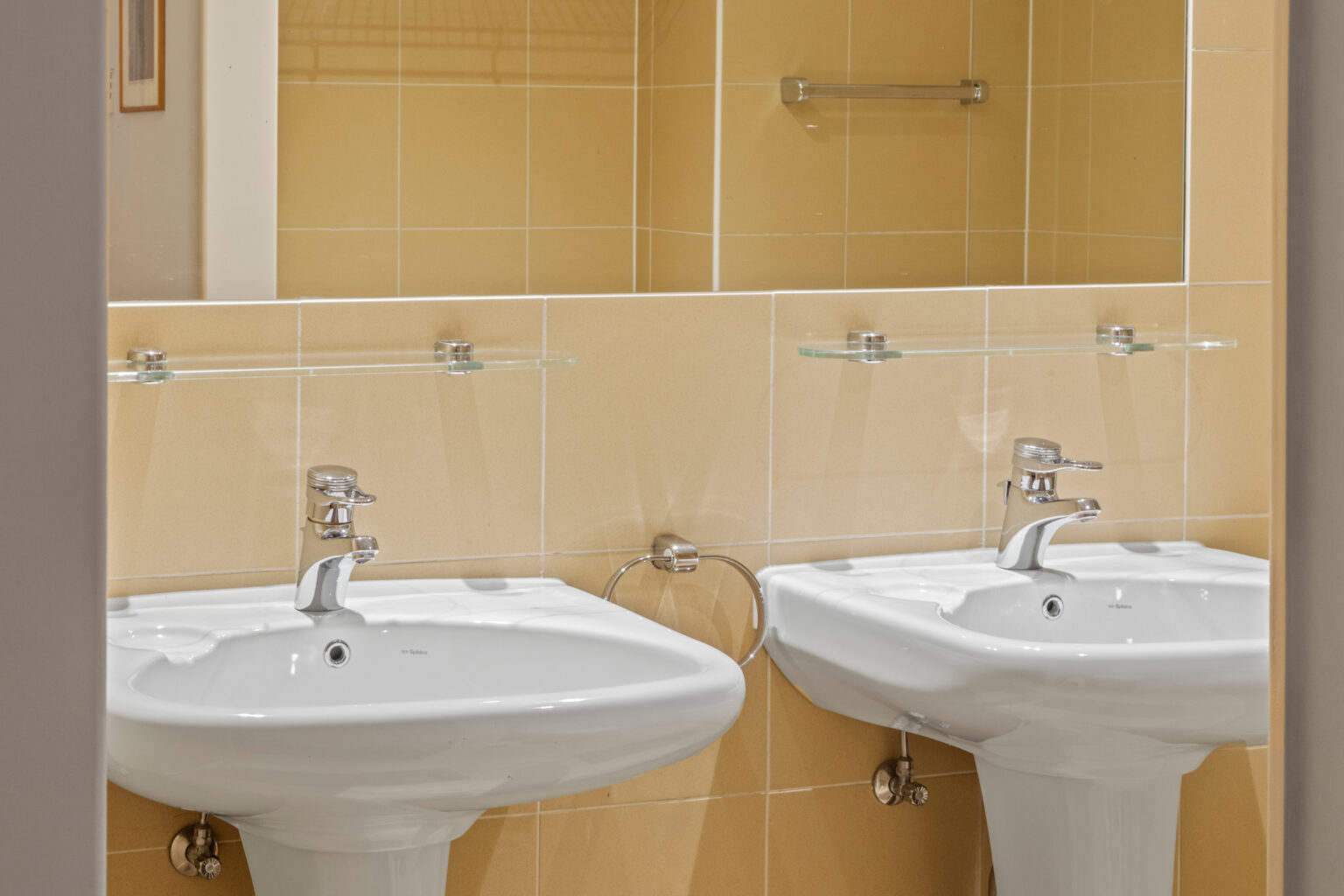 20241021©BRapp1_028